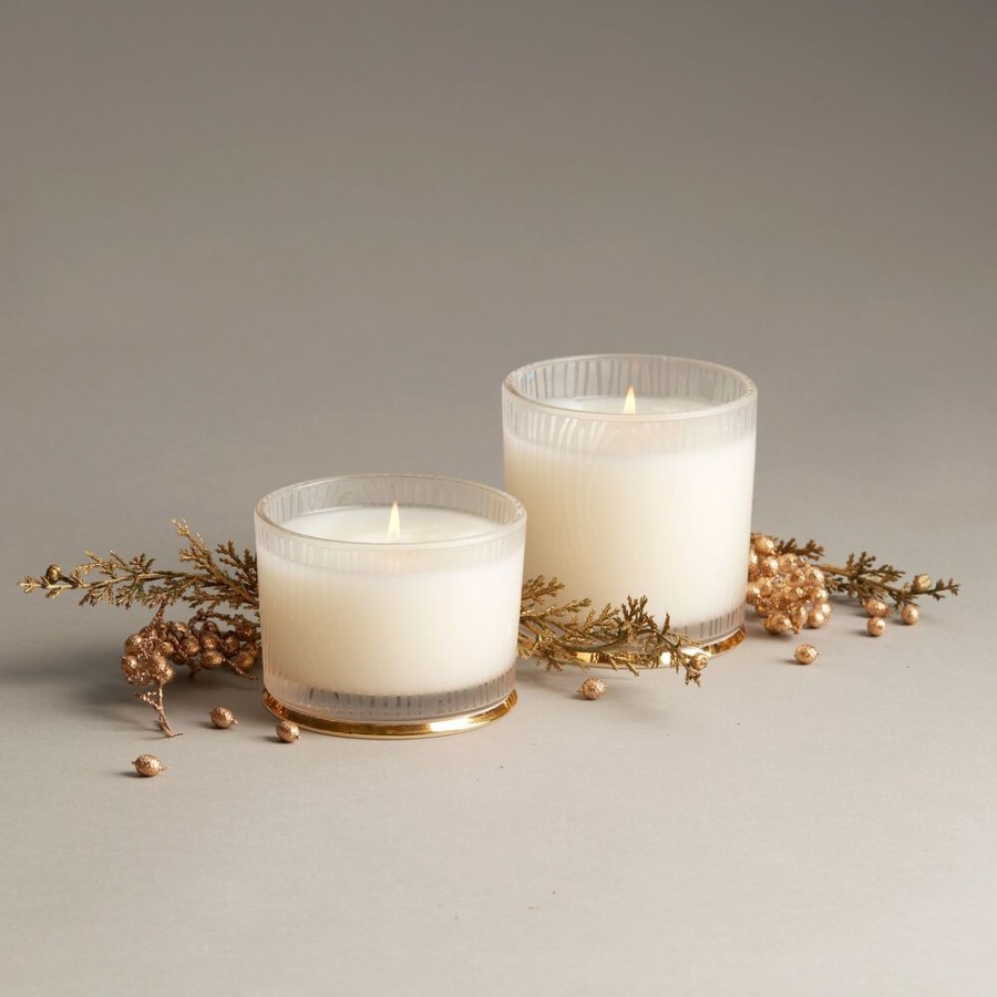 Home Fragrance Thymes | Frasier Fir Gilded Frosted Wood Grain Candle