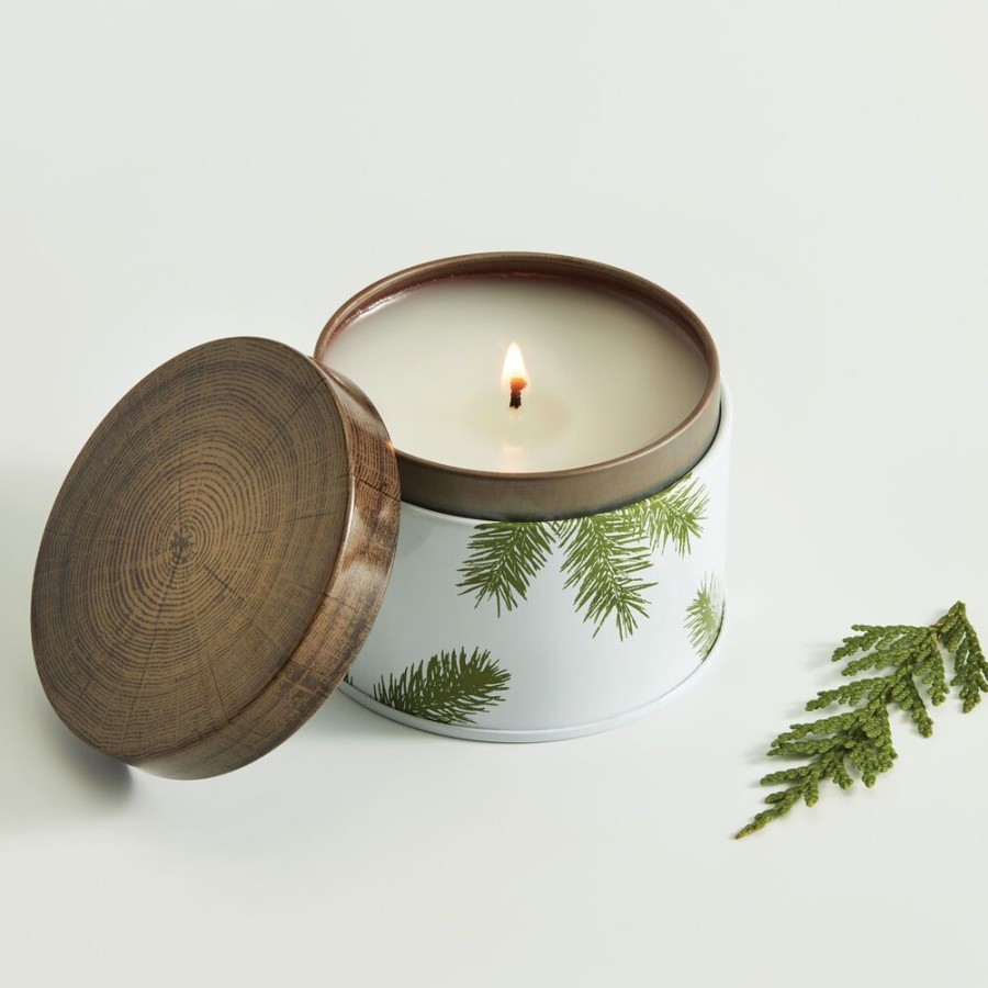 Home Fragrance Thymes | Frasier Fir Candle Tin