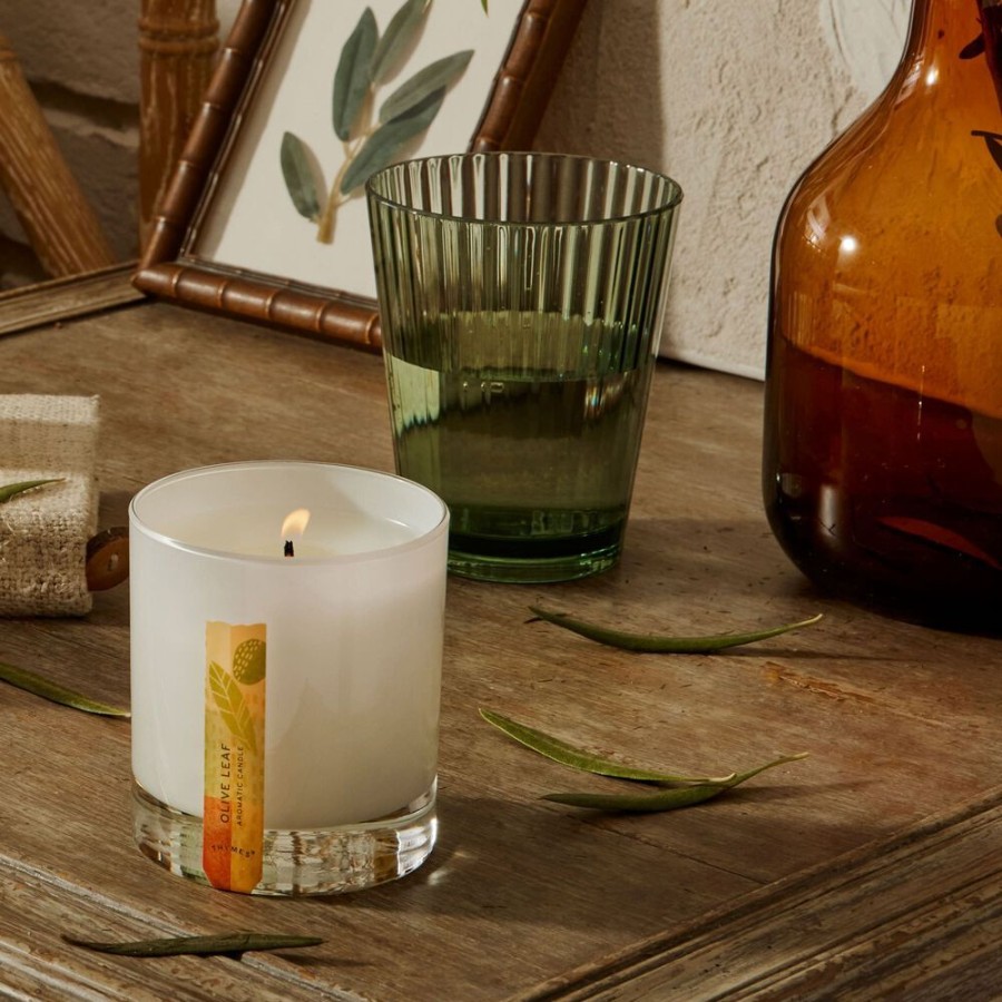 Home Fragrance Thymes | Olive Leaf Candle